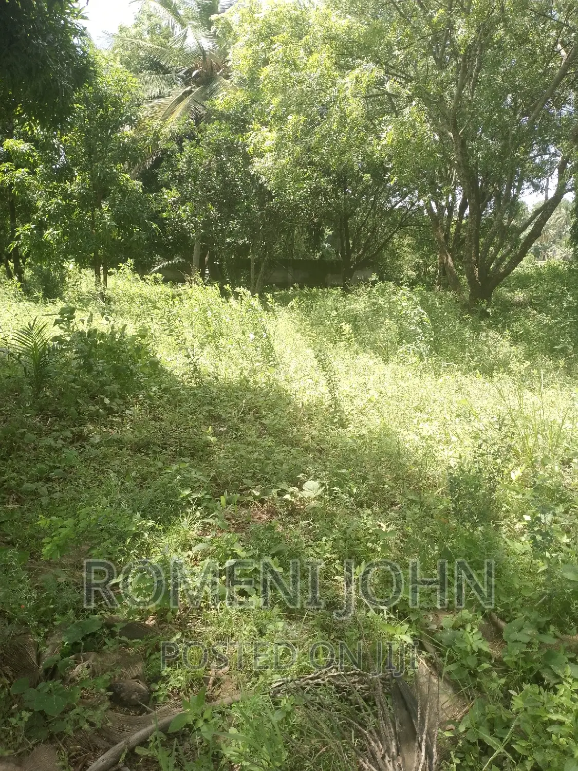 Eneo Hk 2 La Viwanda Na Biashara Lanauzwa Ml 400 Misugusugu. in Ukonga