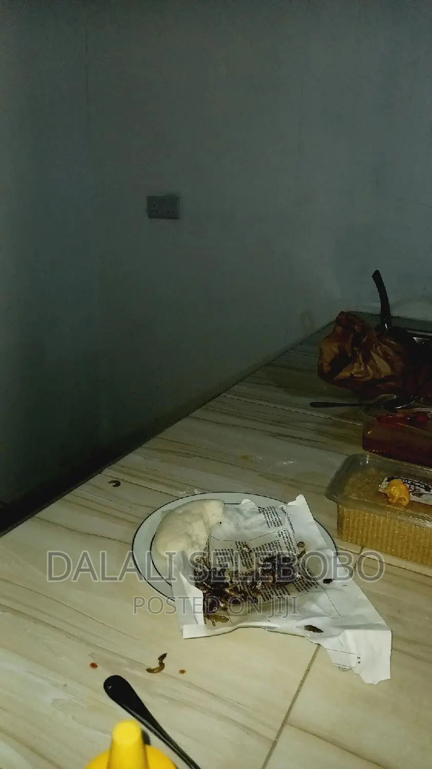 1bdrm Farm House in Mbezi Beach for rent in Mbezi Beach