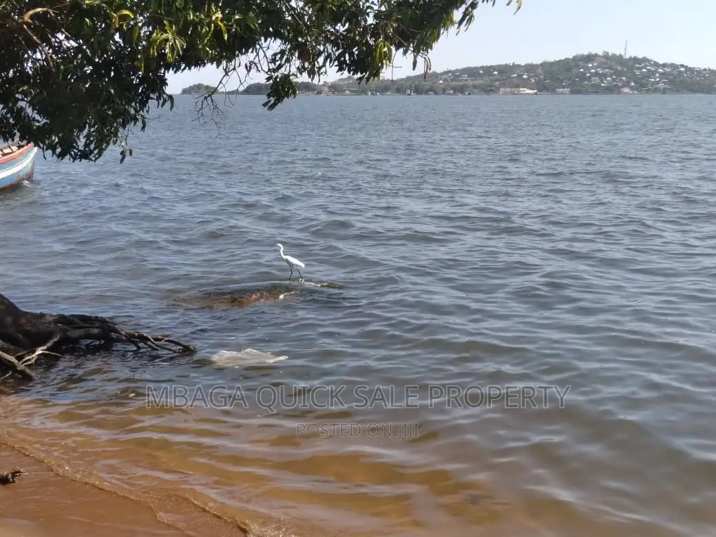 Plot for Sale at Mwanza Bwiru in Bugando