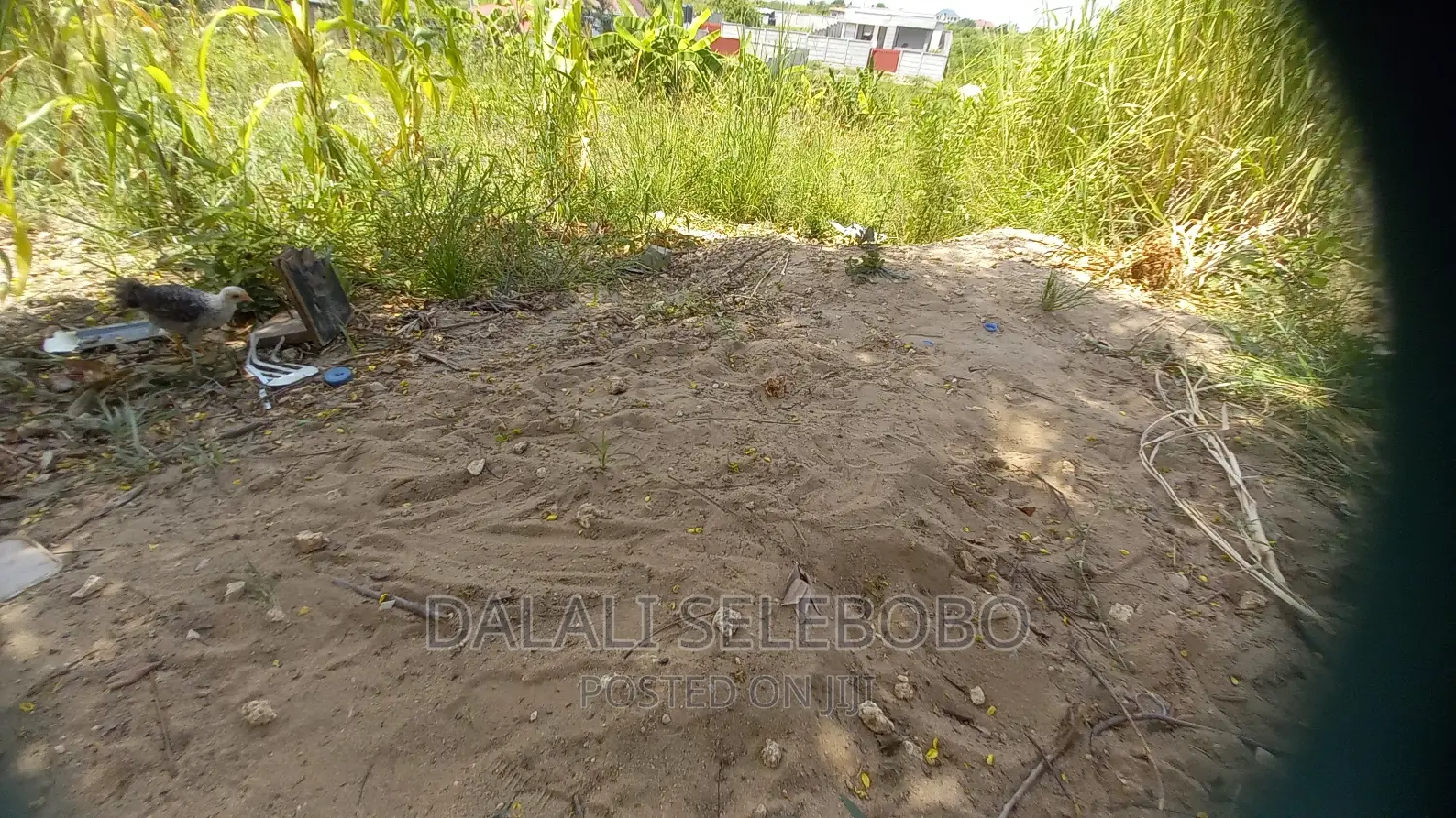Eneo Linatizama Lami at Kinondoni Ada Estate in Kinondoni