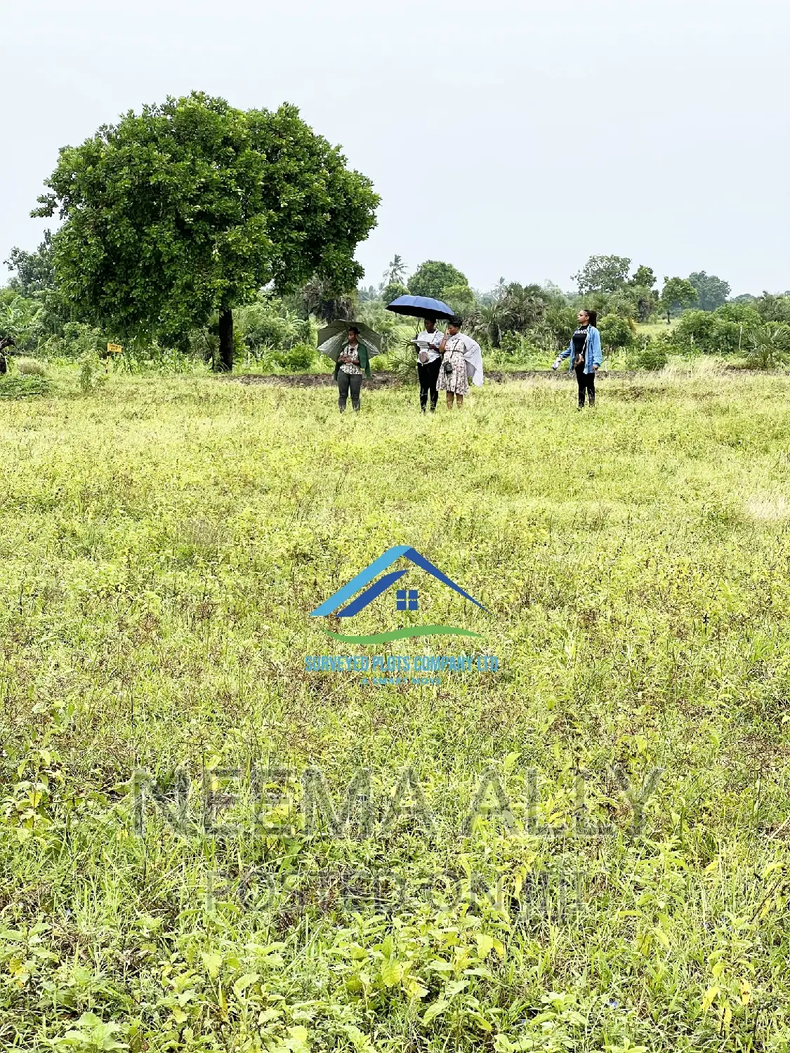 Hawaii Beach Plots in Kigamboni