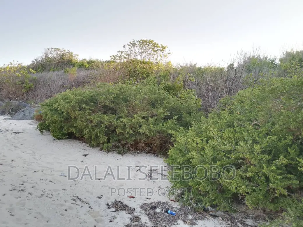 Beach Plot at Zanzibar Hecta 35 in Mjini Magharibi
