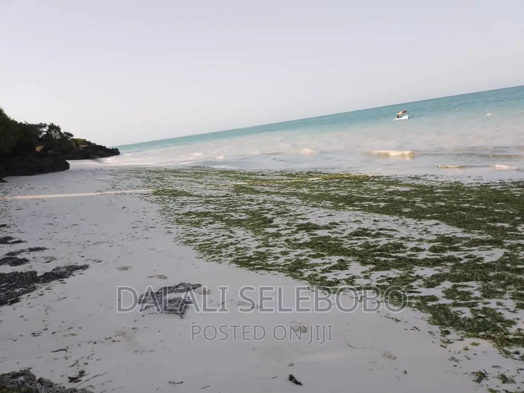 Beach Plot at Zanzibar Hecta 35 in Mjini Magharibi