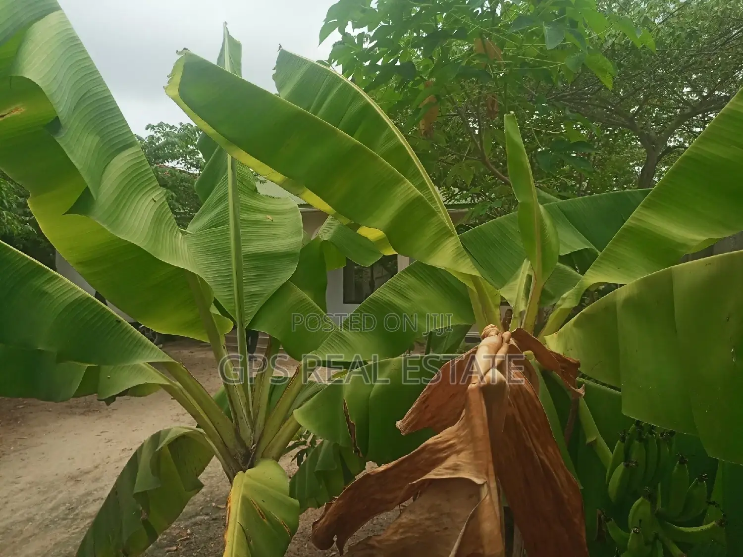 3bdrm House in Kitunda Machimbo, Ilala for sale in Ilala