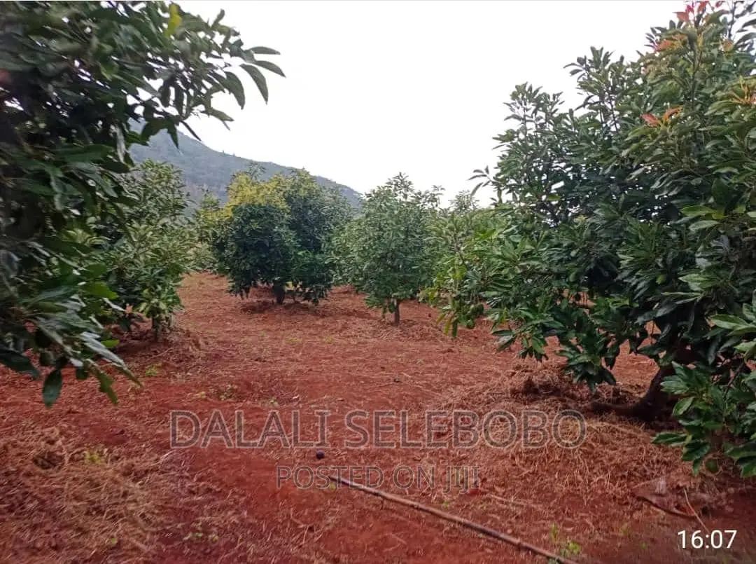 Hekari 200 Sale Njobe Iringa Bilioni4 in Njombe Rural