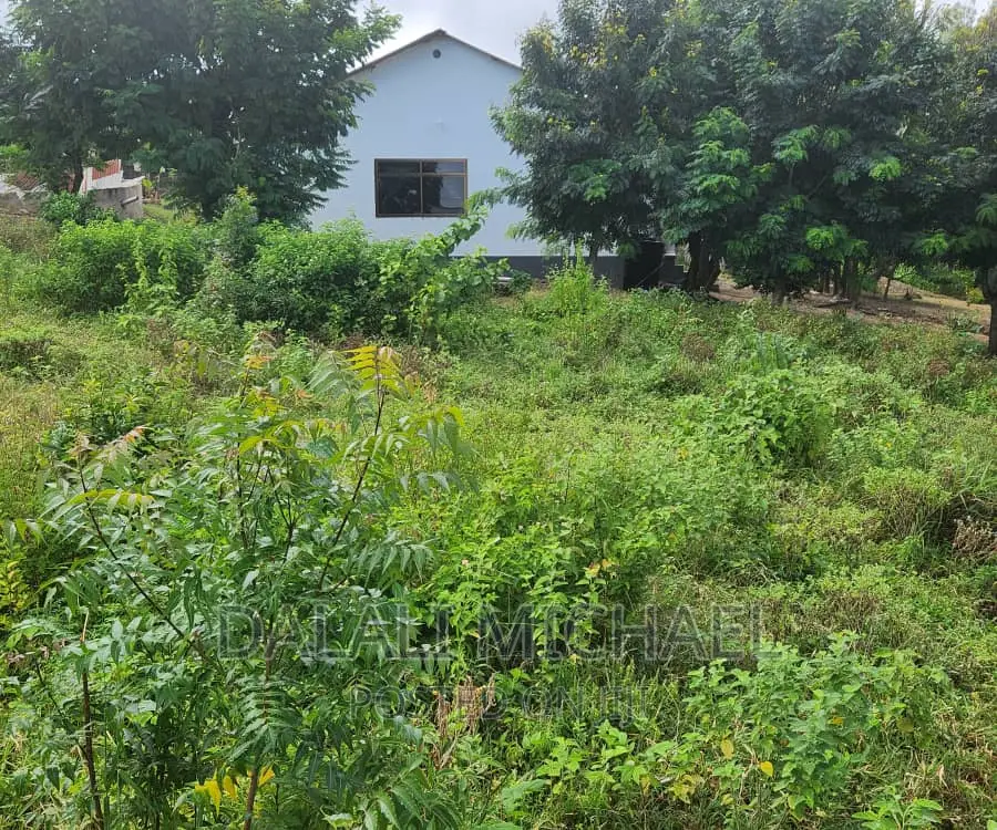Plot for Sale at Salasala. in Mbezi Beach