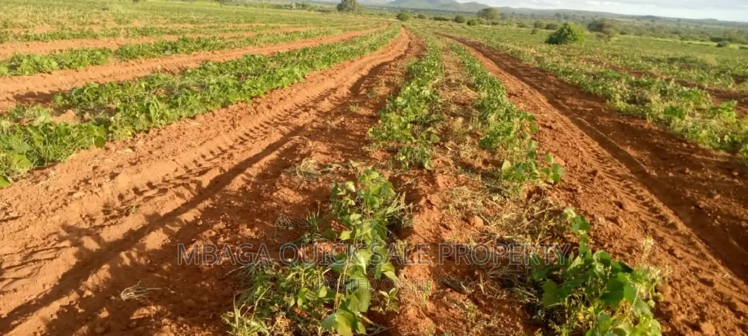 Farm for Sale at Orjoro Simanjiro Manyara Region in Oljoro No. 5