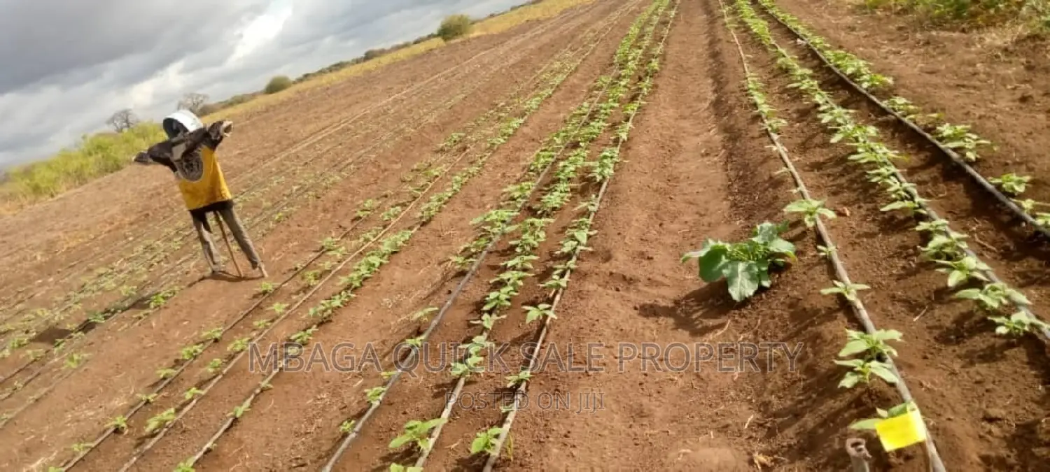 Farm for Sale at Orjoro Simanjiro Manyara Region in Oljoro No. 5