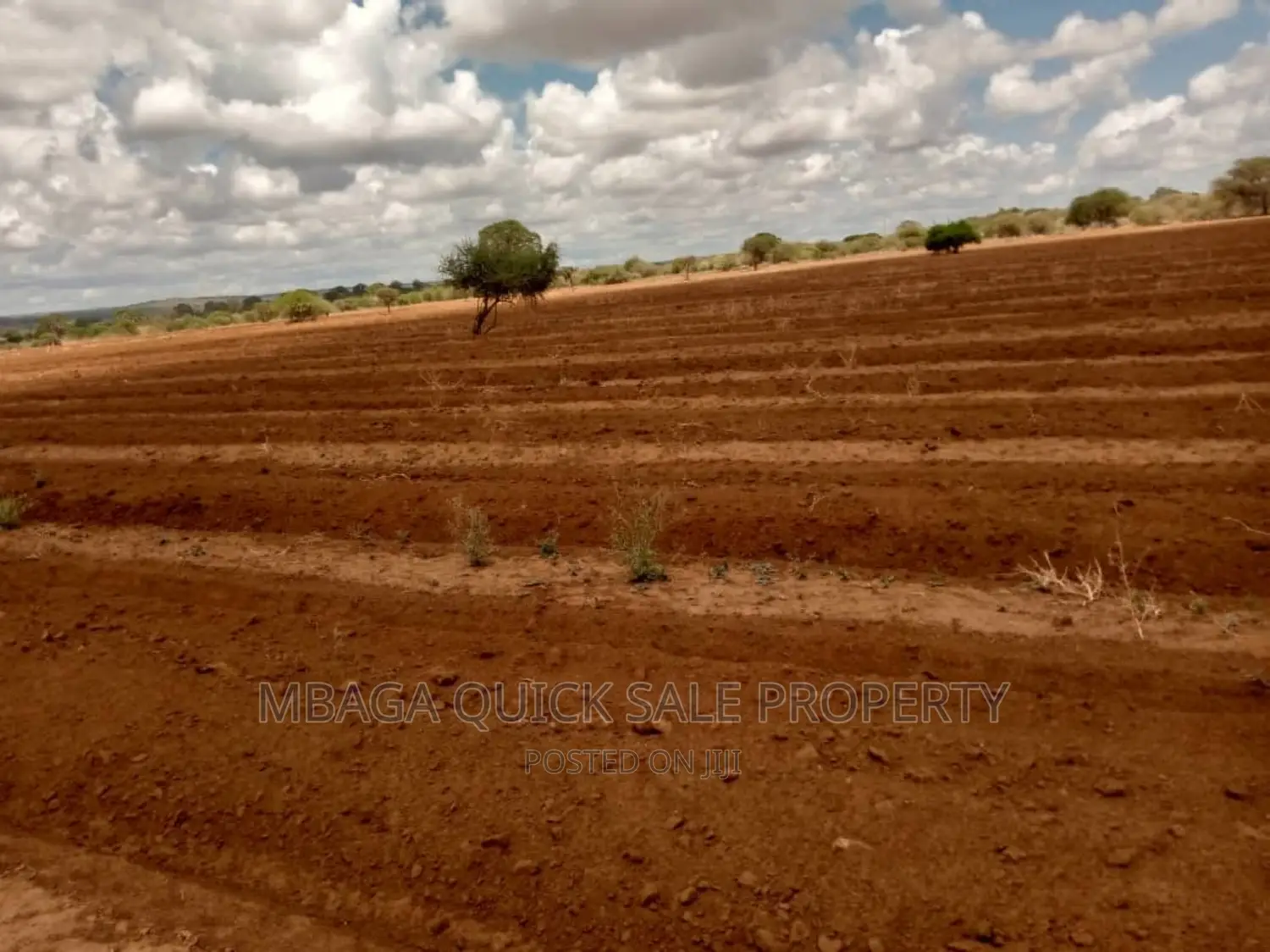Farm for Sale at Orjoro Simanjiro Manyara Region in Oljoro No. 5