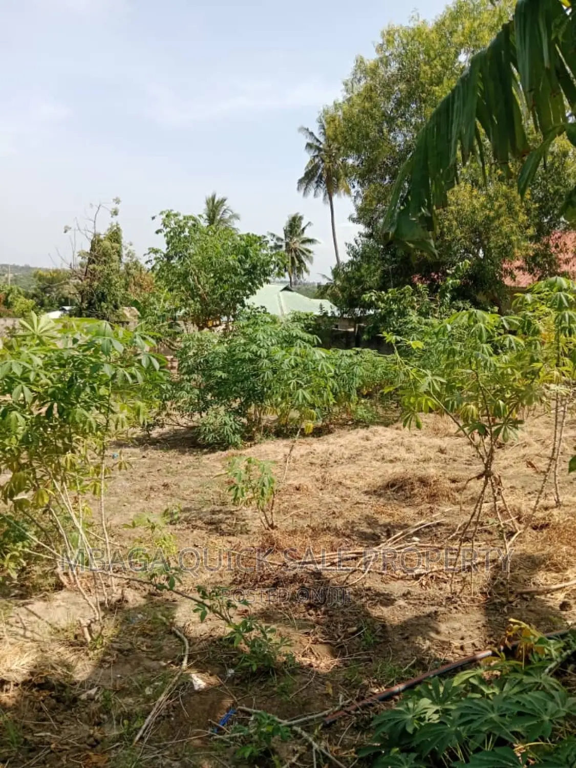 Plot for Sale at Goba Contena in Goba