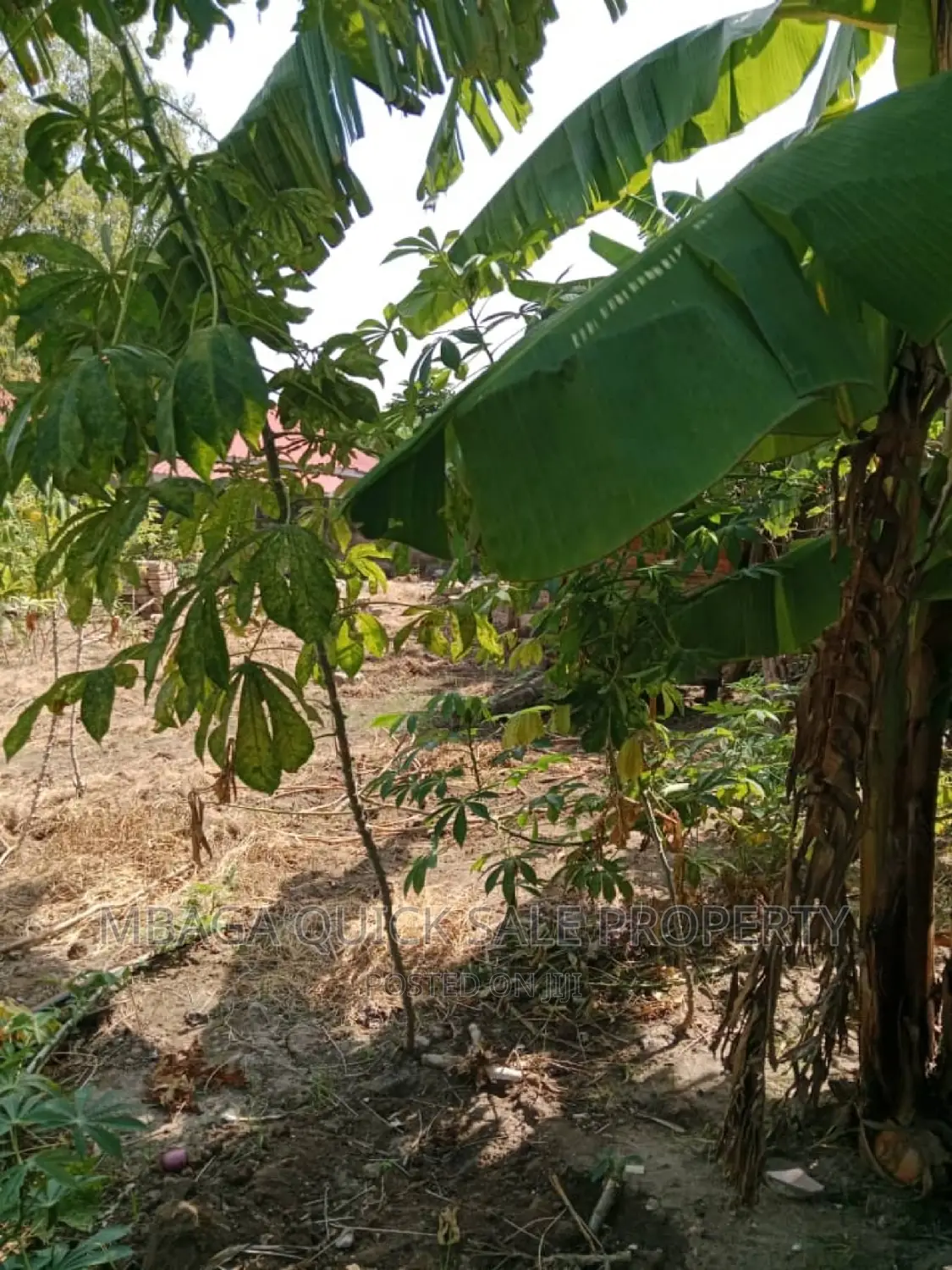 Plot for Sale at Goba Contena in Goba