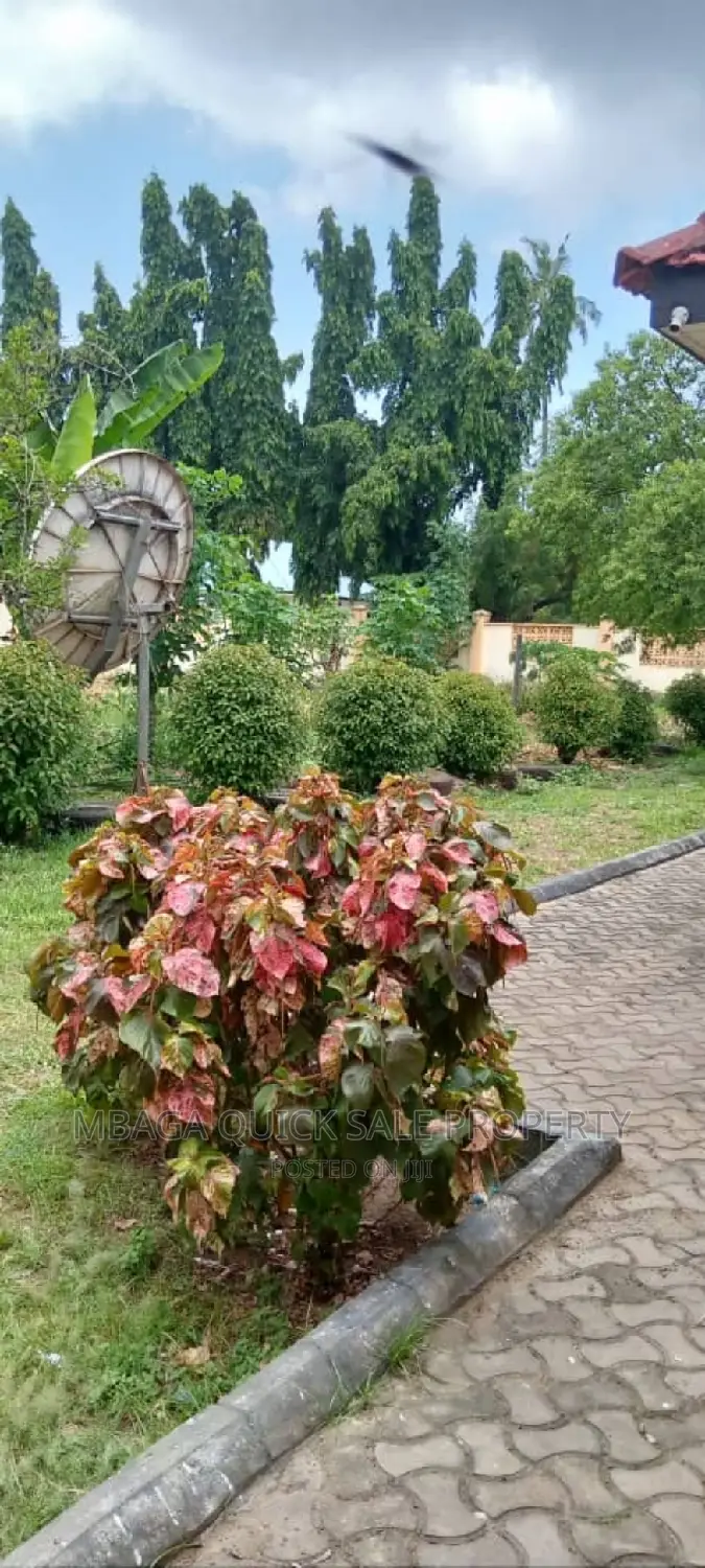 5bdrm House in Ada Estate for rent in Ada Estate