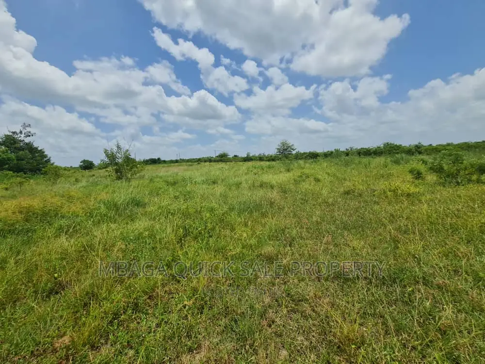 Plot for Sale at Chalinze Chamakweza in Chalinze