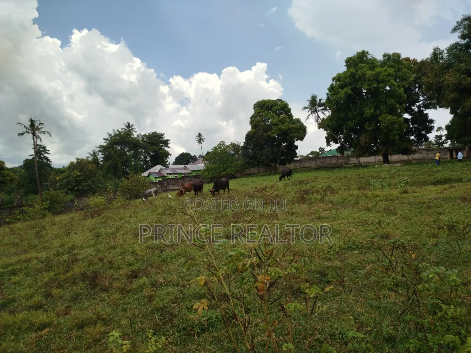 Land for Sale at Kinyerezi With 8acres for Sale ( Fenced ) in Kinondoni