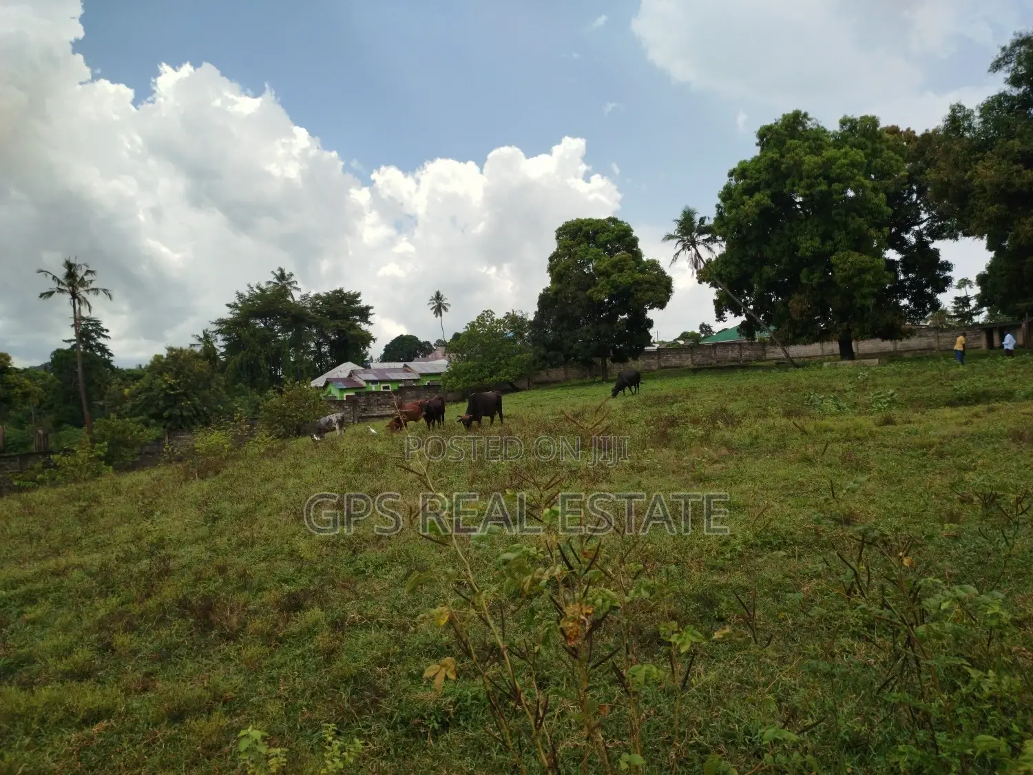 Land for Sale at Kinyerezi With 8acres for Sale ( Fenced ) in Kinondoni