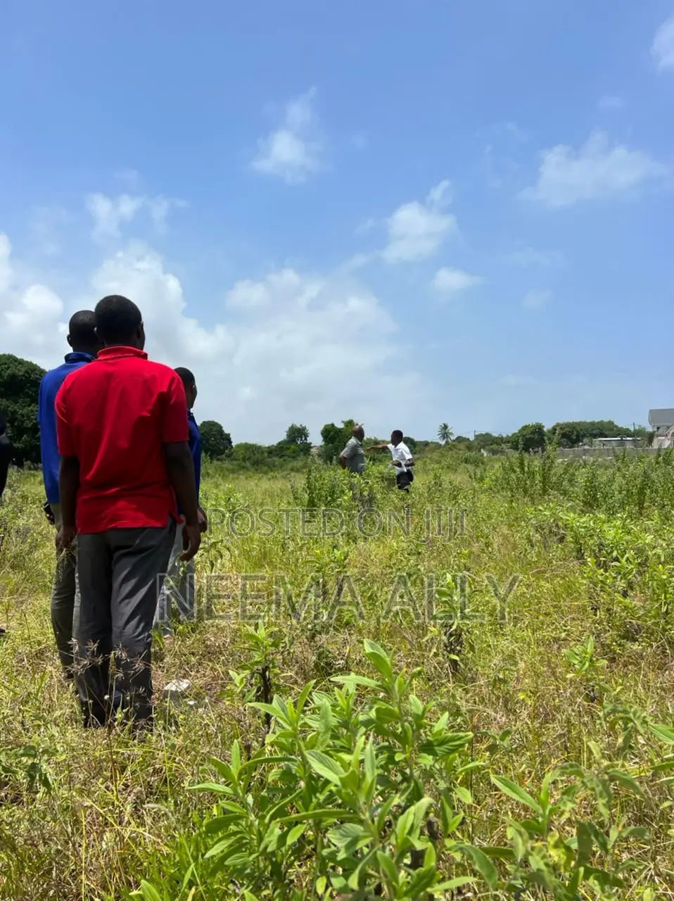 Viwanja Vya Buyuni Karibu Na Barabara Kuu in Kigamboni
