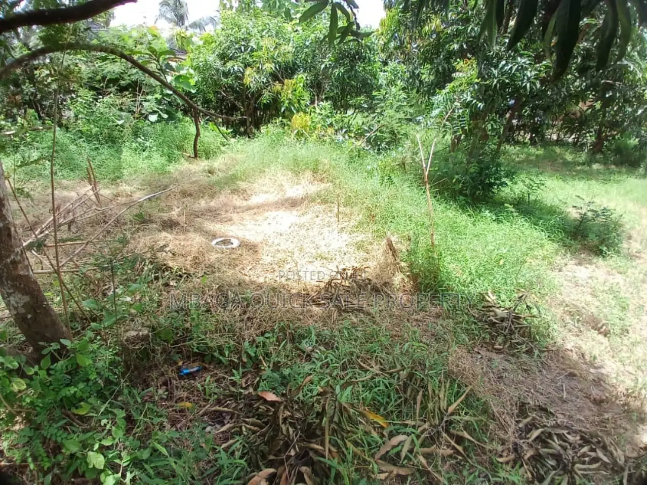 Plot Inauzwa Ipo Kibaha Kwa Matiasi in Kibaha