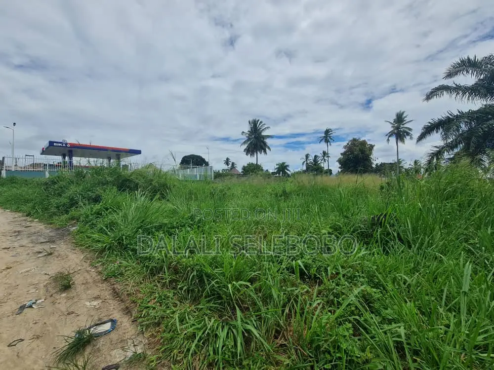 Hecta 2 at Mkulanga Njia Ya Kilwa Road in Vikindu