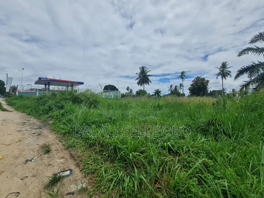 Hecta 2 at Mkulanga Njia Ya Kilwa Road in Vikindu