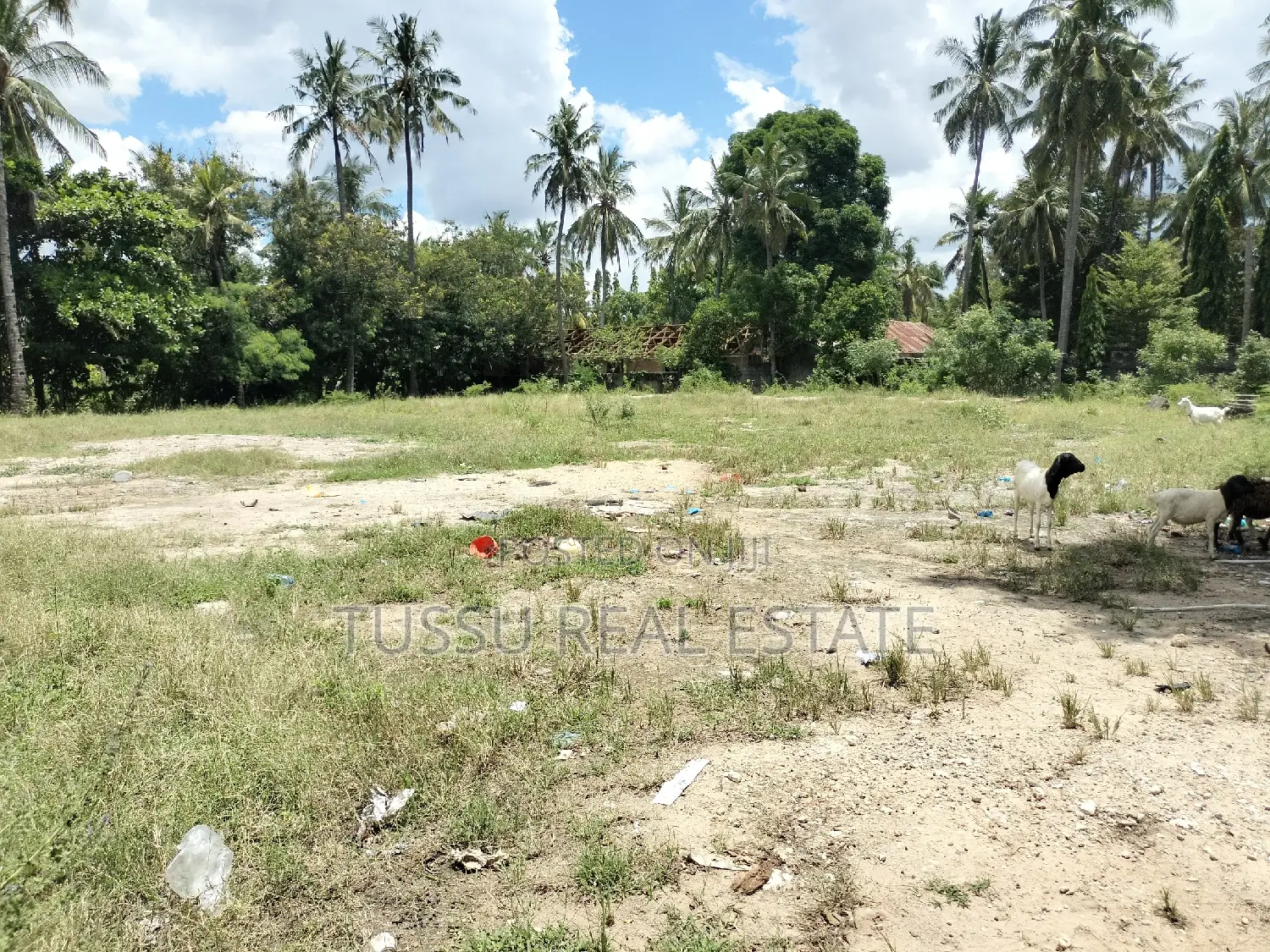 Open Space/Yard For Rent At Mbuyuni Salasala in Kibada