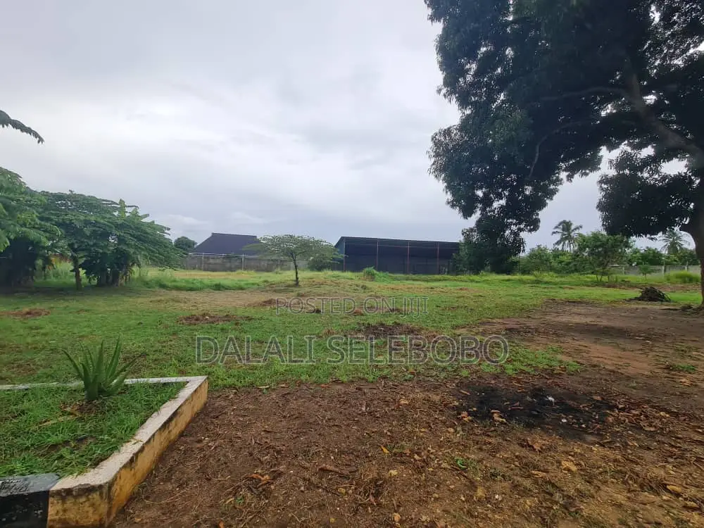 Yard at Kigamboni Mji Mwema in Kigamboni