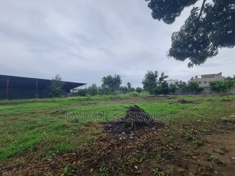 Yard at Kigamboni Mji Mwema in Kigamboni