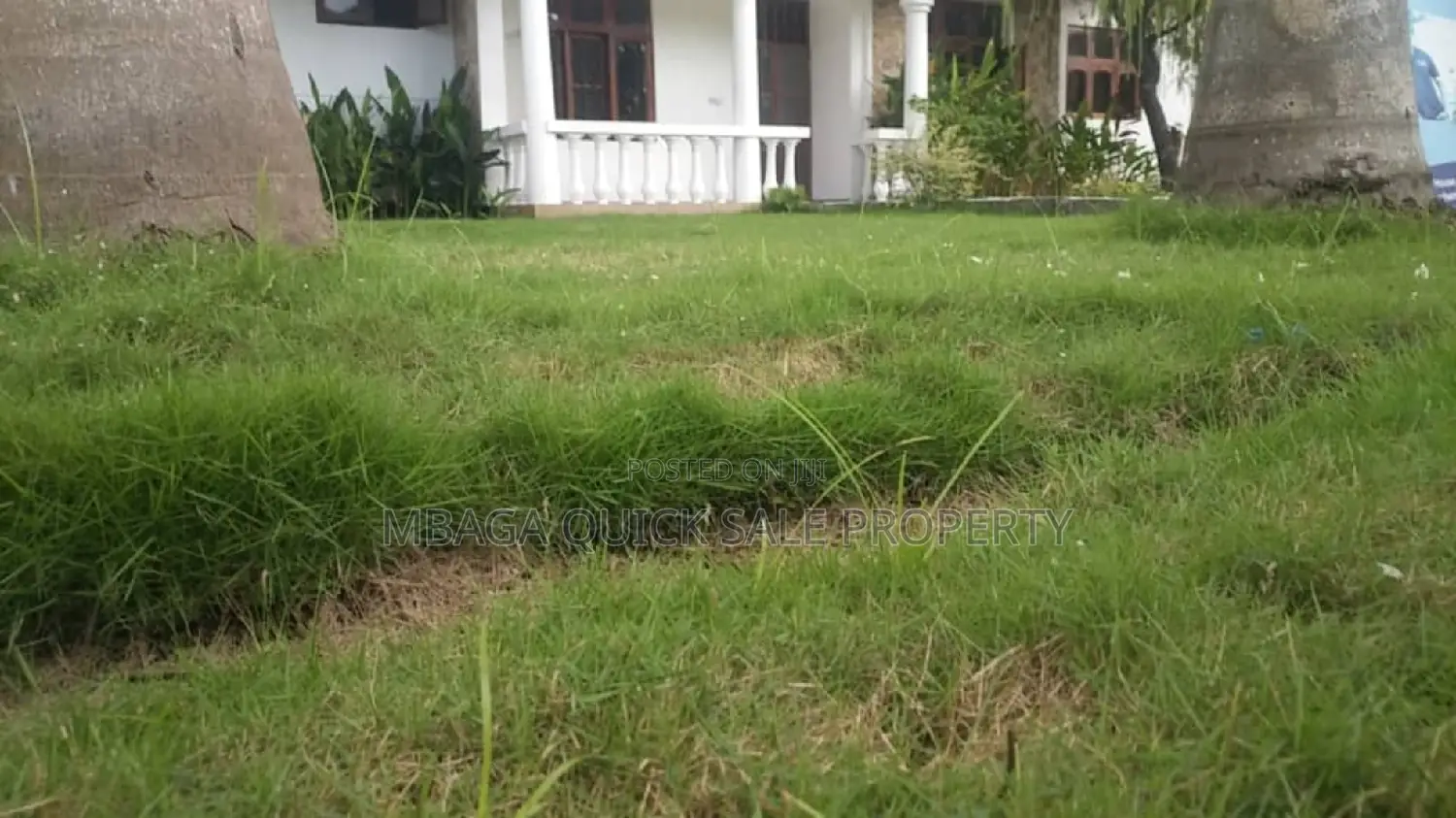 4bdrm House in Mikocheni Mwinyi for rent in Mikocheni