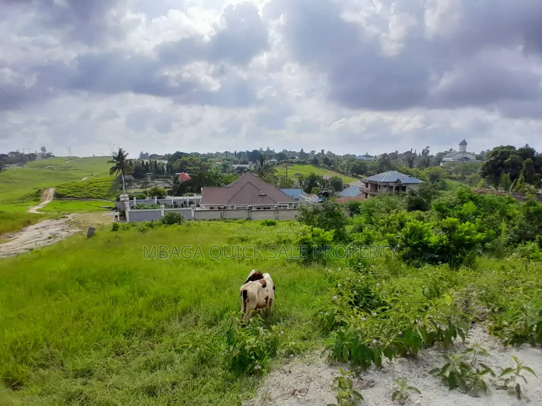 Plot for Sale at Mbezi Kwamsuguri in Mbezi