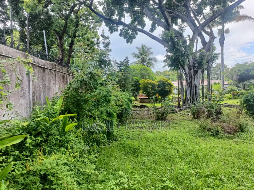3650 Sq M Property In Oysterbay For Sale Private Ownership in Oyster Bay