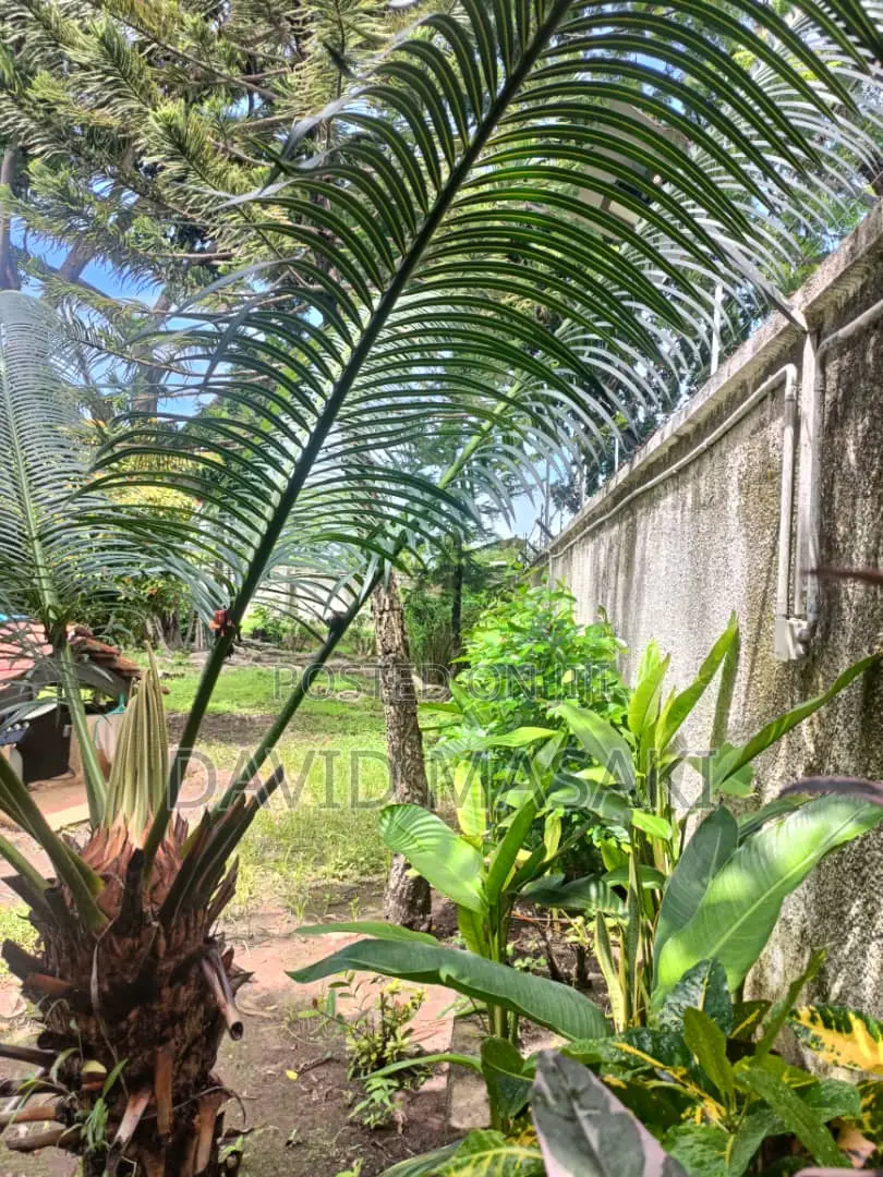 3650 Sq M Property In Oysterbay For Sale Private Ownership in Oyster Bay