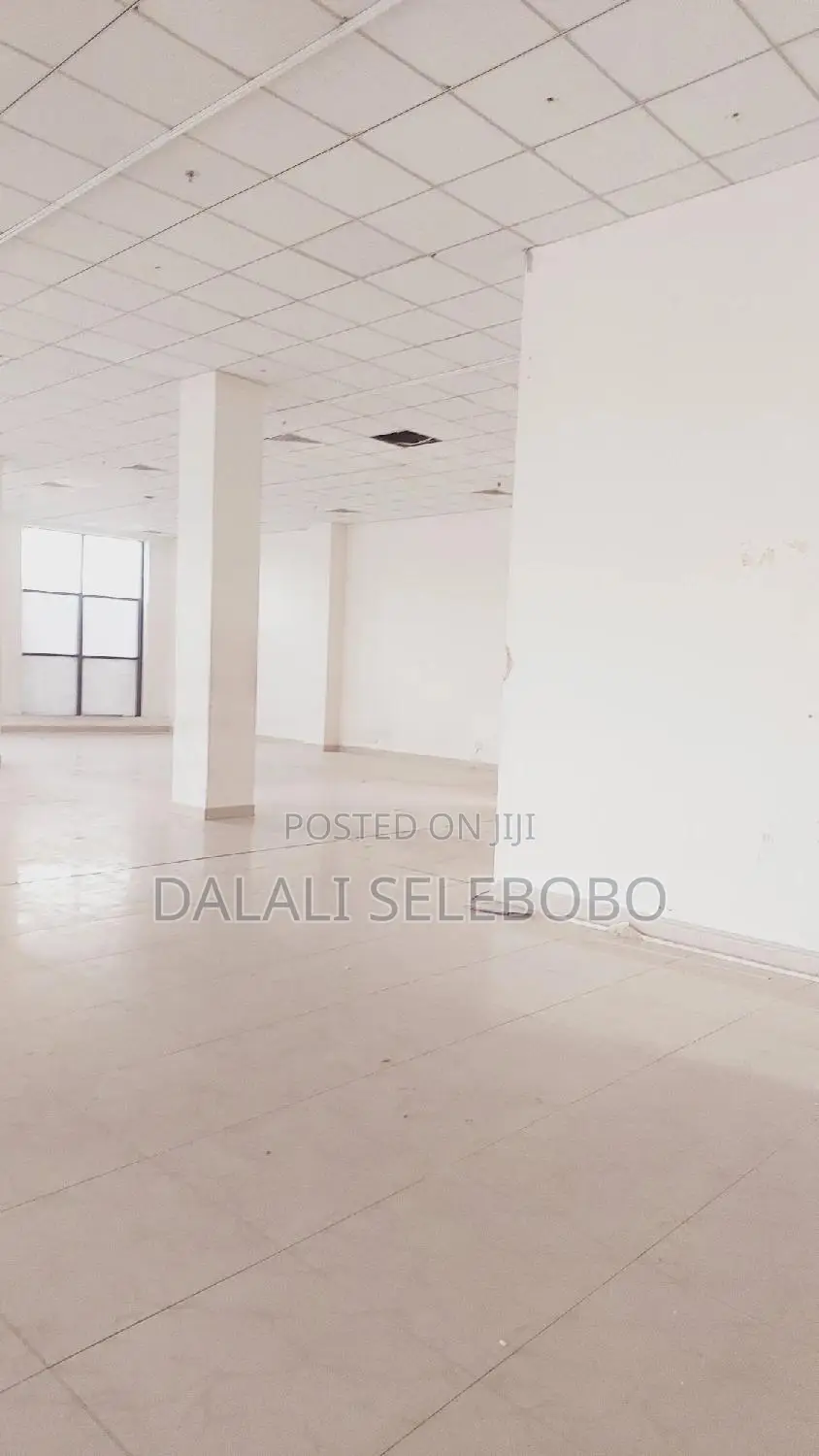 Supermarket Near by Mliman City Mall in Kinondoni