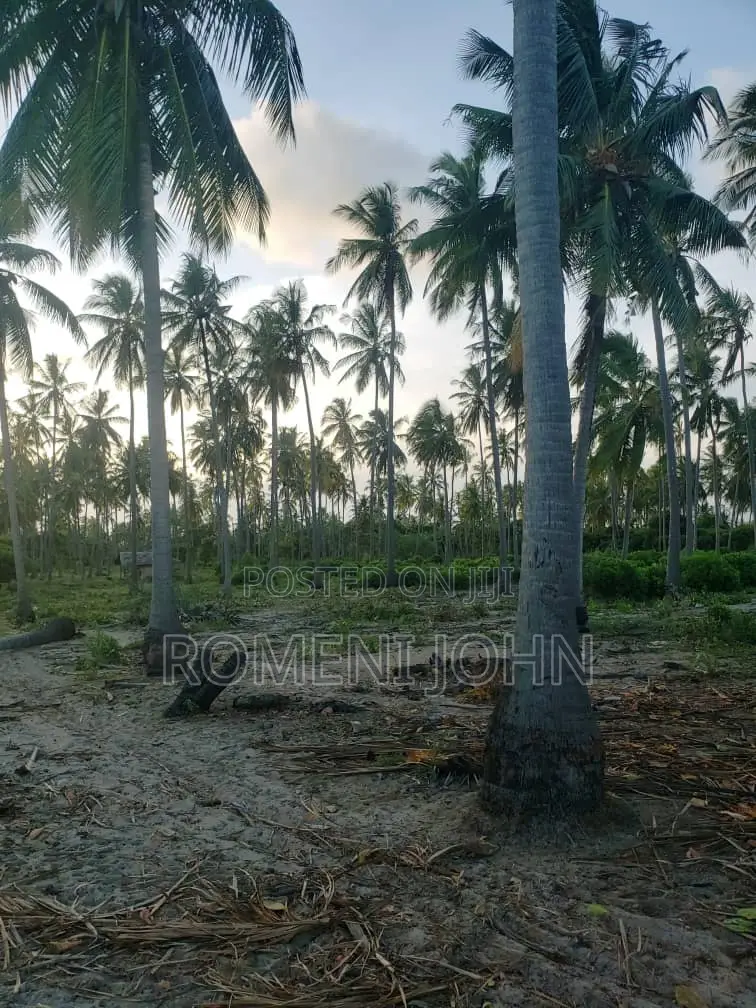 Beach Plot Heka 16 Zinauzwa Tanga Pangani Sange. in Ukonga