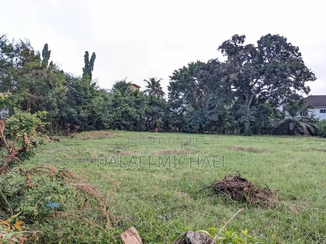 Plot for Sale Survey Mlimani City in Sinza