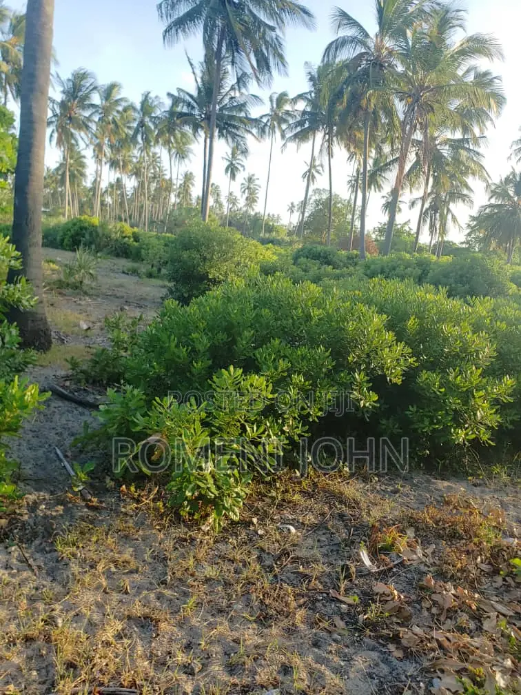 Beach Plot Heka 12 Zinauzwa at Hk 1 Ml 25 Tanga Pangani Sange in Ukonga