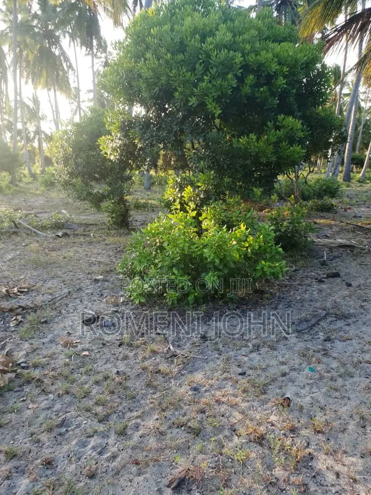 Beach Plot Heka 12 Zinauzwa at Hk 1 Ml 25 Tanga Pangani Sange in Ukonga