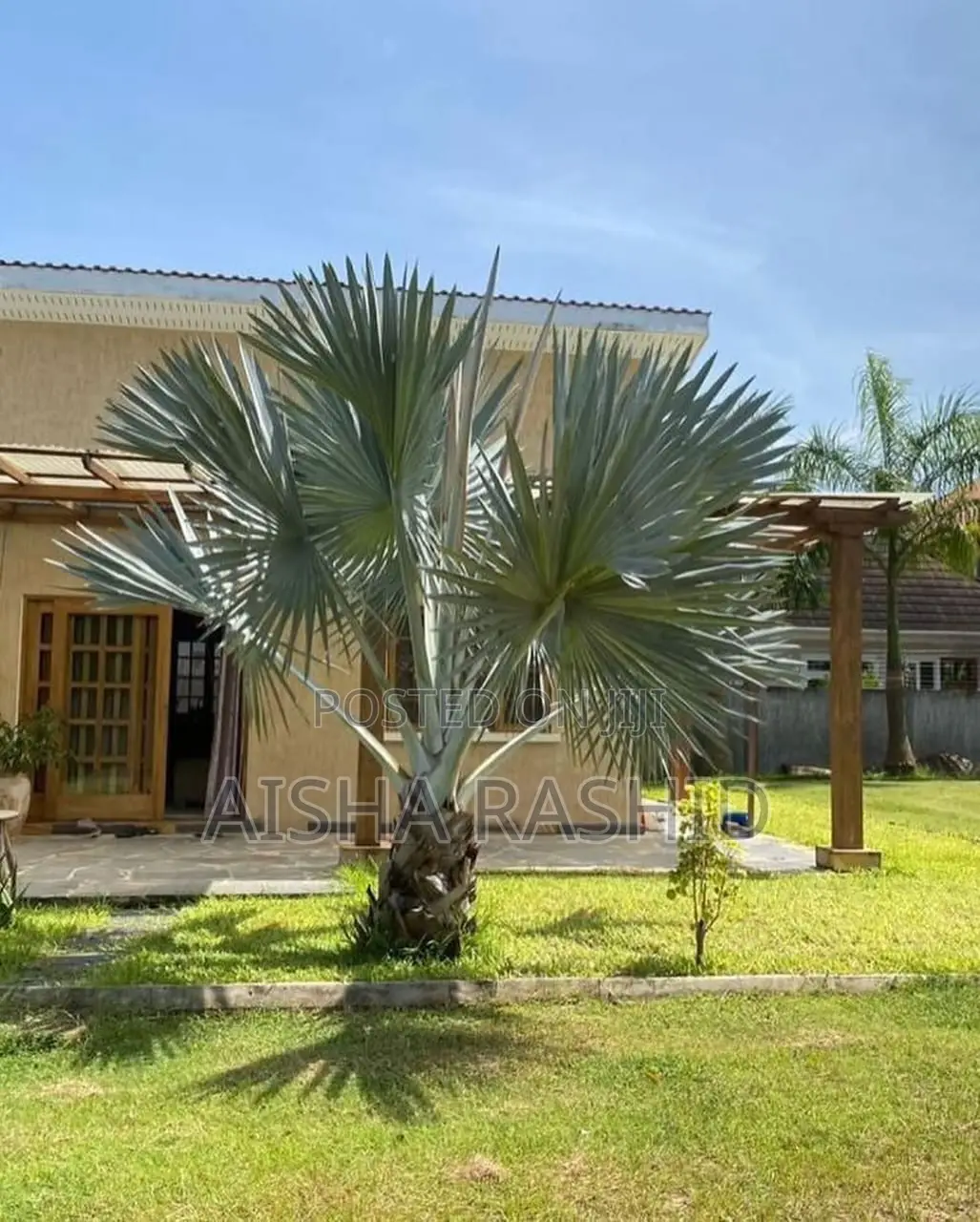 Furnished 3bdrm Apartment in Mbezi Beach for rent in Mbezi Beach
