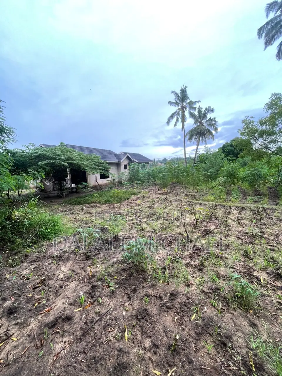 Plot for Sale Salasala Iptl in Mbezi Beach