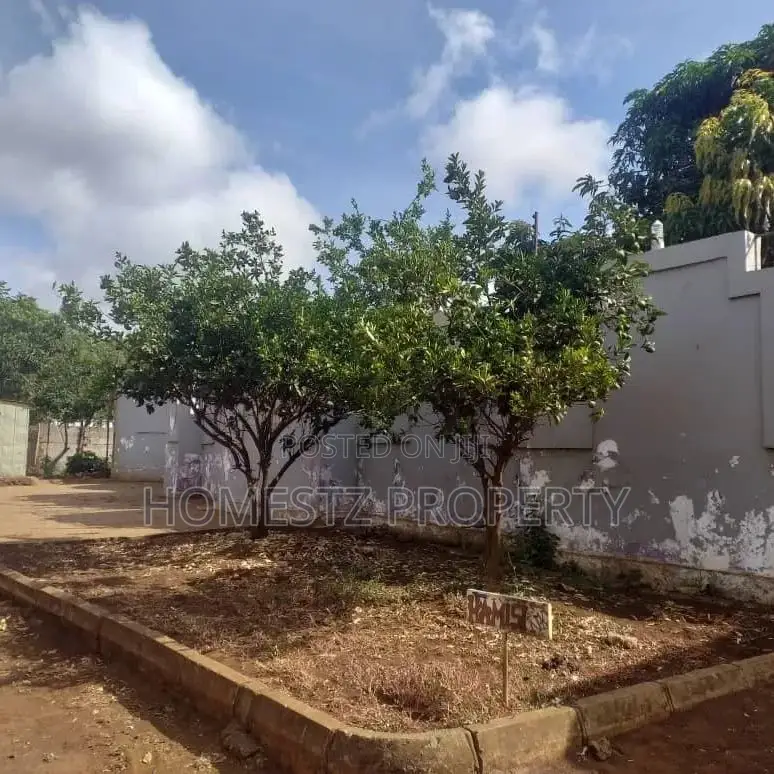 4bdrm House in Njiro East Africa for sale in Njiro