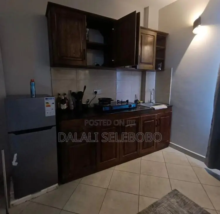 Furnished Mini Flat in Changanyikeni Udsm, Kinondoni for rent in Kinondoni