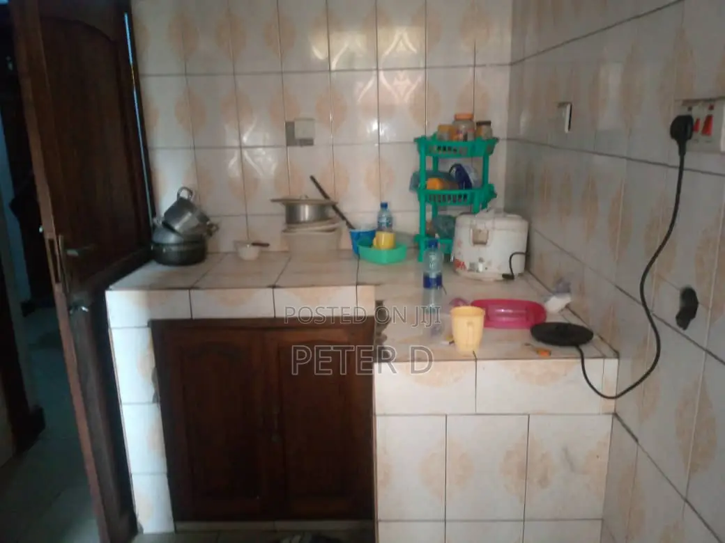 1bdrm Apartment in Kariakoo for rent in Kariakoo