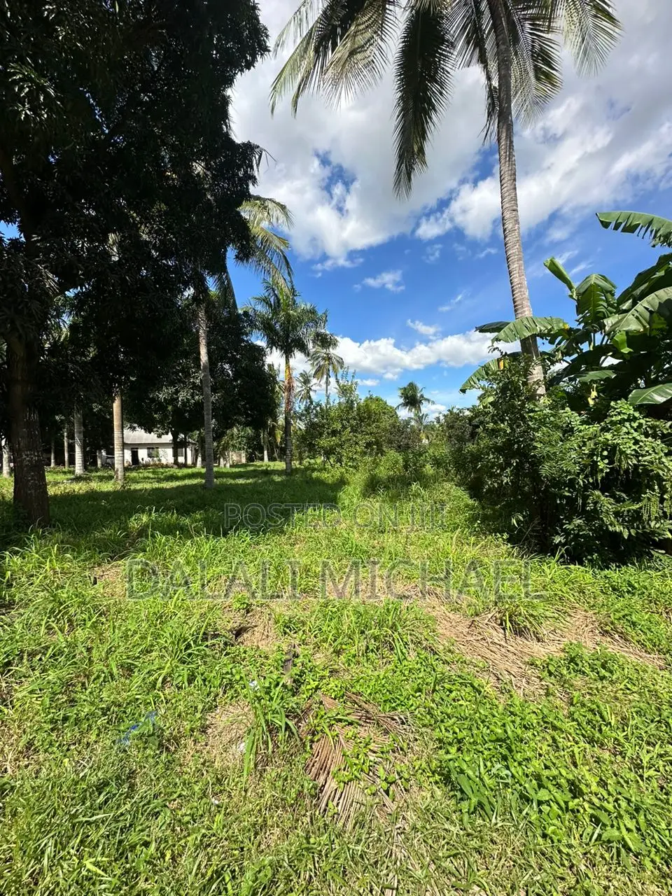 15000 SQMS Plot for Sale Kerege in Zinga