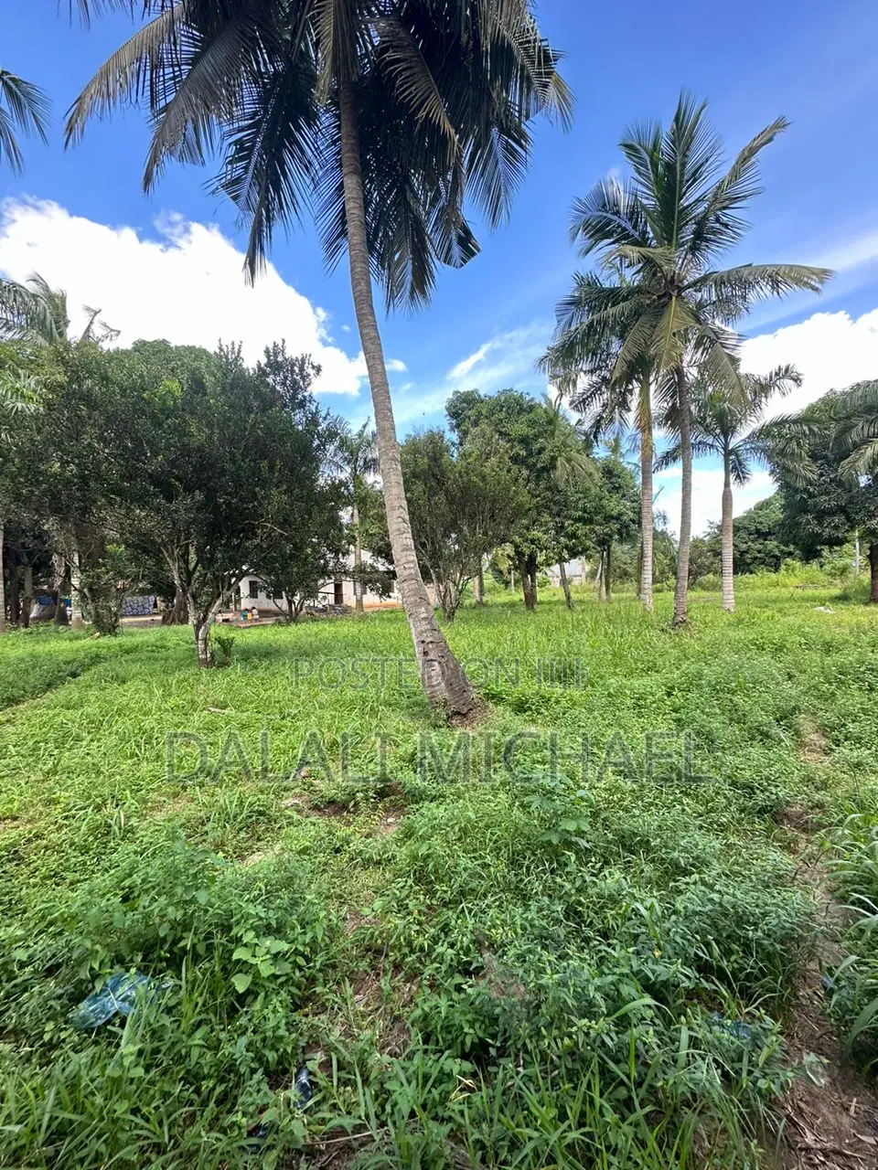 15000 SQMS Plot for Sale Kerege in Zinga