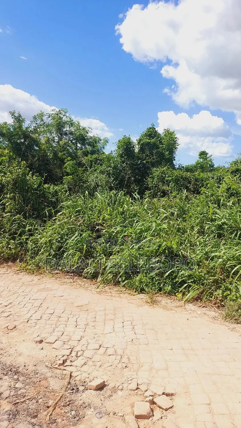 1bdrm Farm House in Ubungo Msewe Golani, Kinondoni for rent in Kinondoni