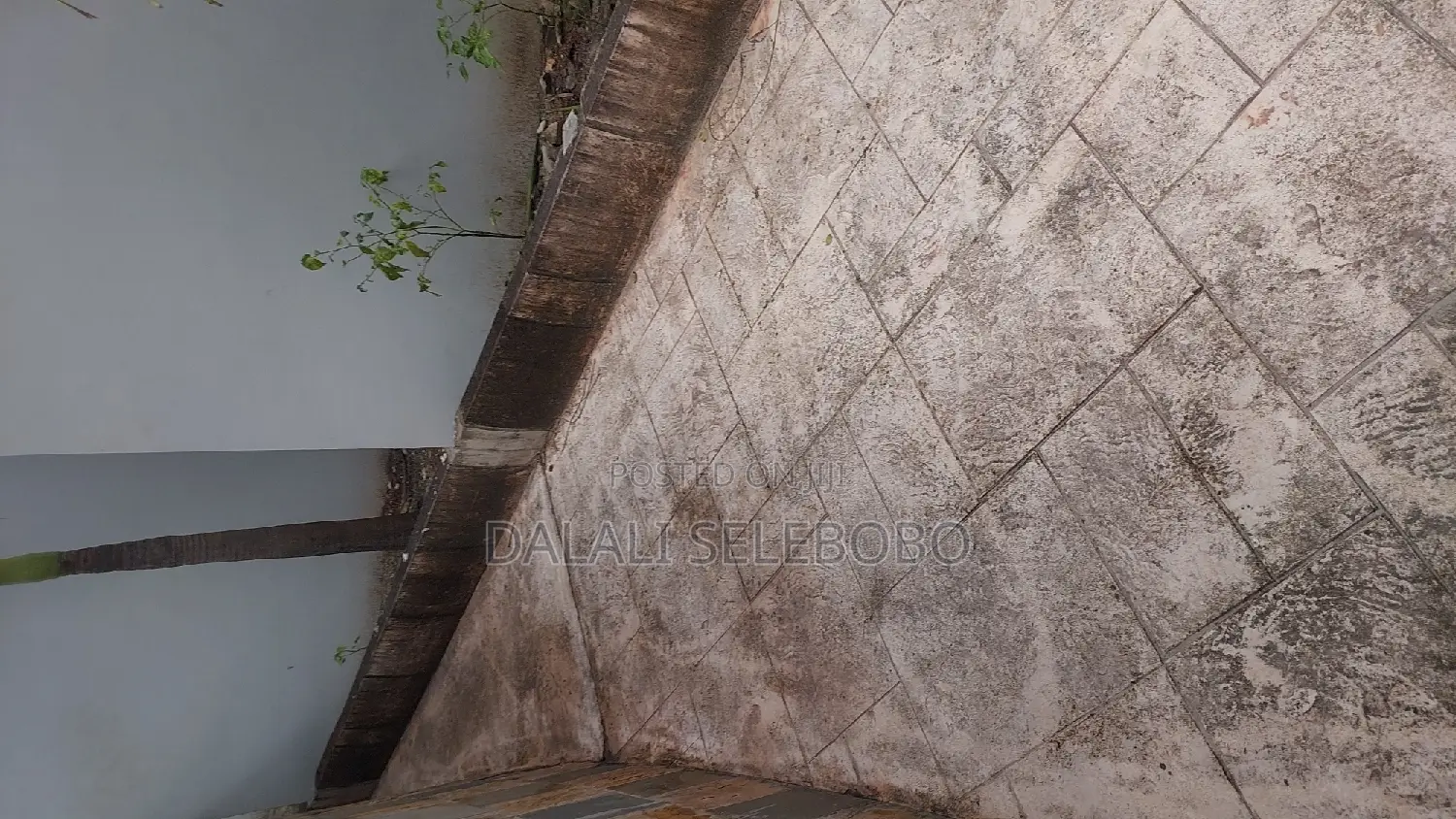 Mini Flat in Sinza Mori Near By for rent in Sinza