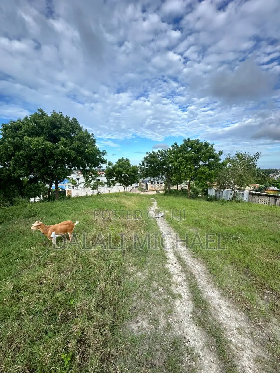 Plot for Sale Mbezi Magufuli in Mbezi