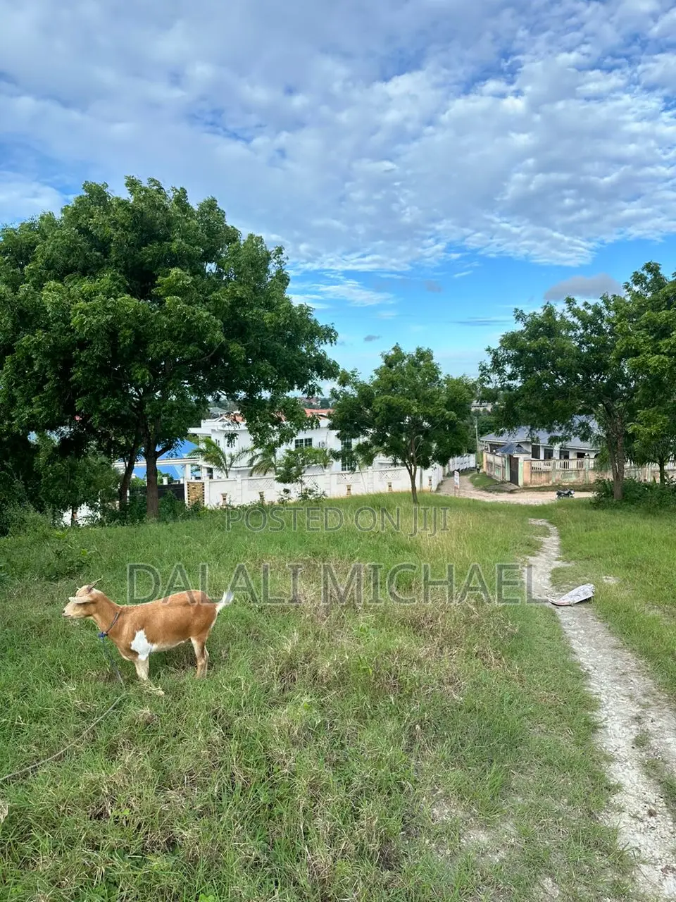 Plot for Sale Mbezi Magufuli in Mbezi