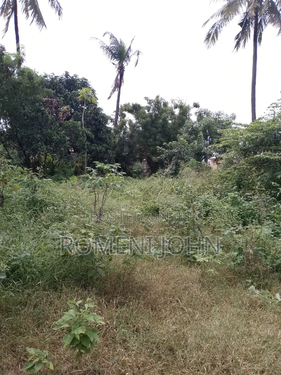 Eneo Sqmita 1000 Linauzwa Ml 38.5 Ukonga Mazizini. in Ilala