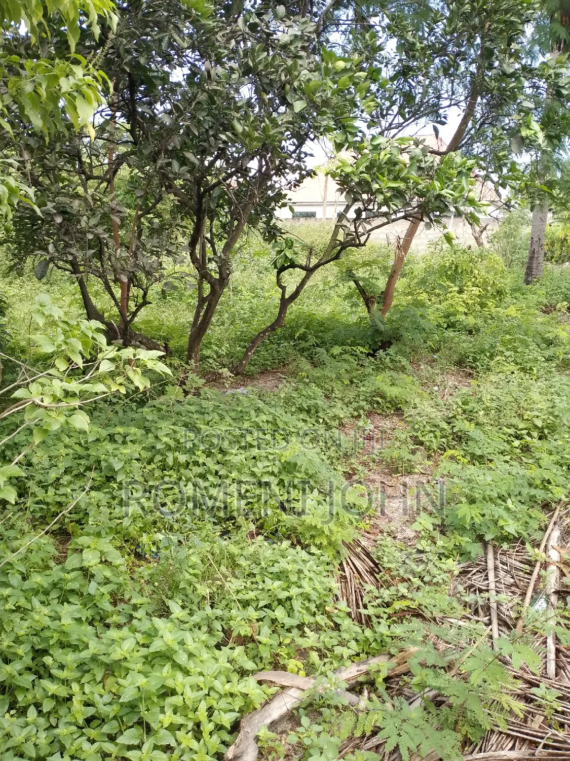 Eneo Sqmita 1000 Linauzwa Ml 38.5 Ukonga Mazizini. in Ilala
