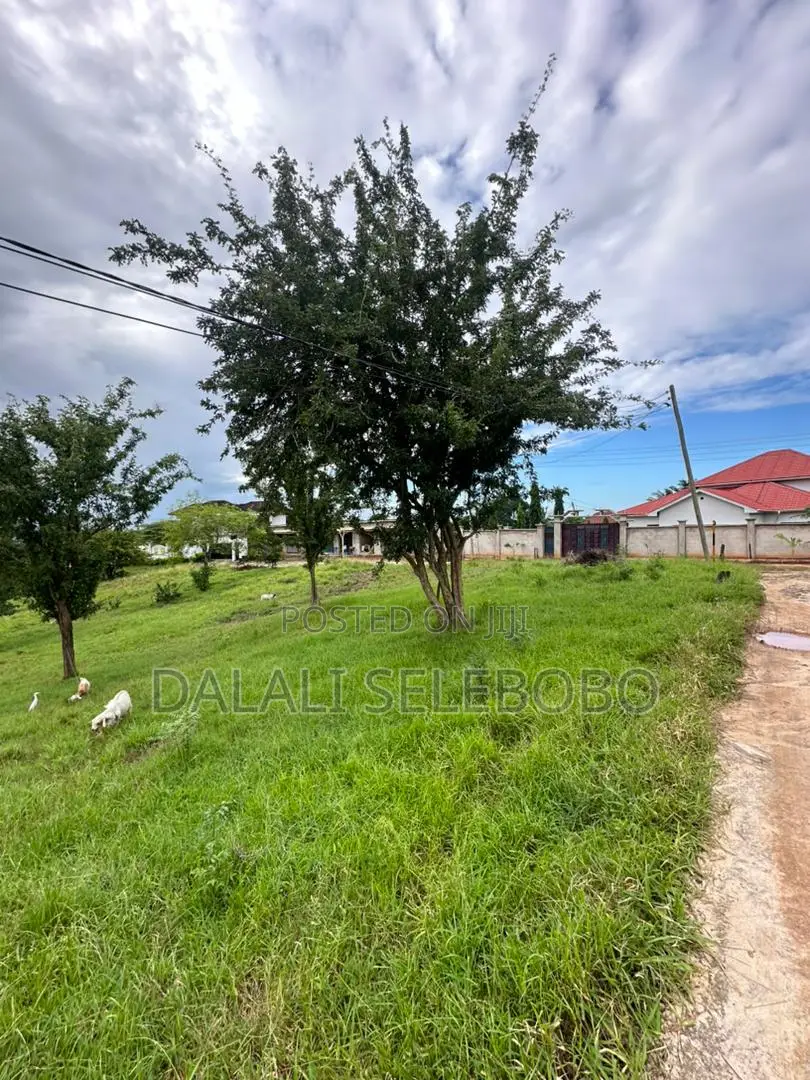 Plot La Biashara Mbez Luguruni in Mbezi