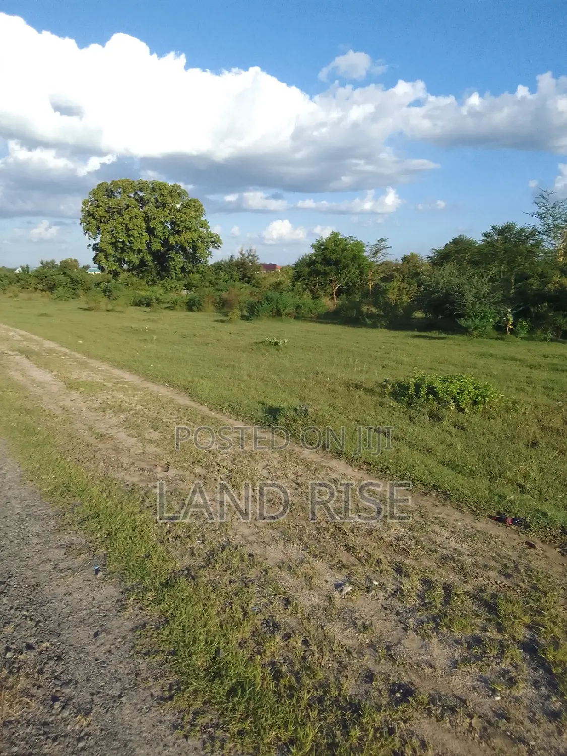 80 Acres Industrial Land in Bagamoyo in Zinga